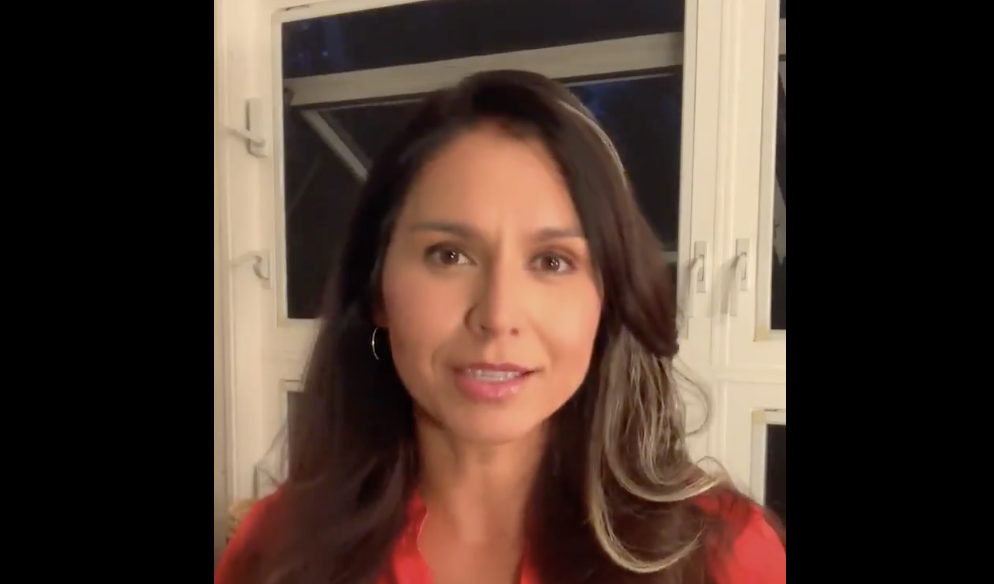 tulsi gabbard espionage bills snowden