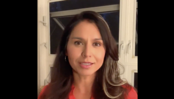 Tulsi Gabbard Introduces Bills To Free Snowden, Asange